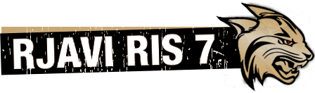 RJAVI RIS 6