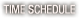 Time Schedule